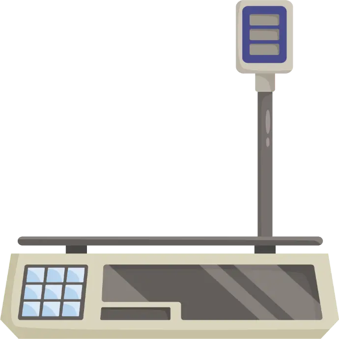 electronic scale electronic scale
