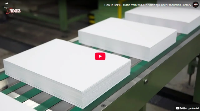 How is PAPER Made from WOOD? Amazing Paper Production Factory!