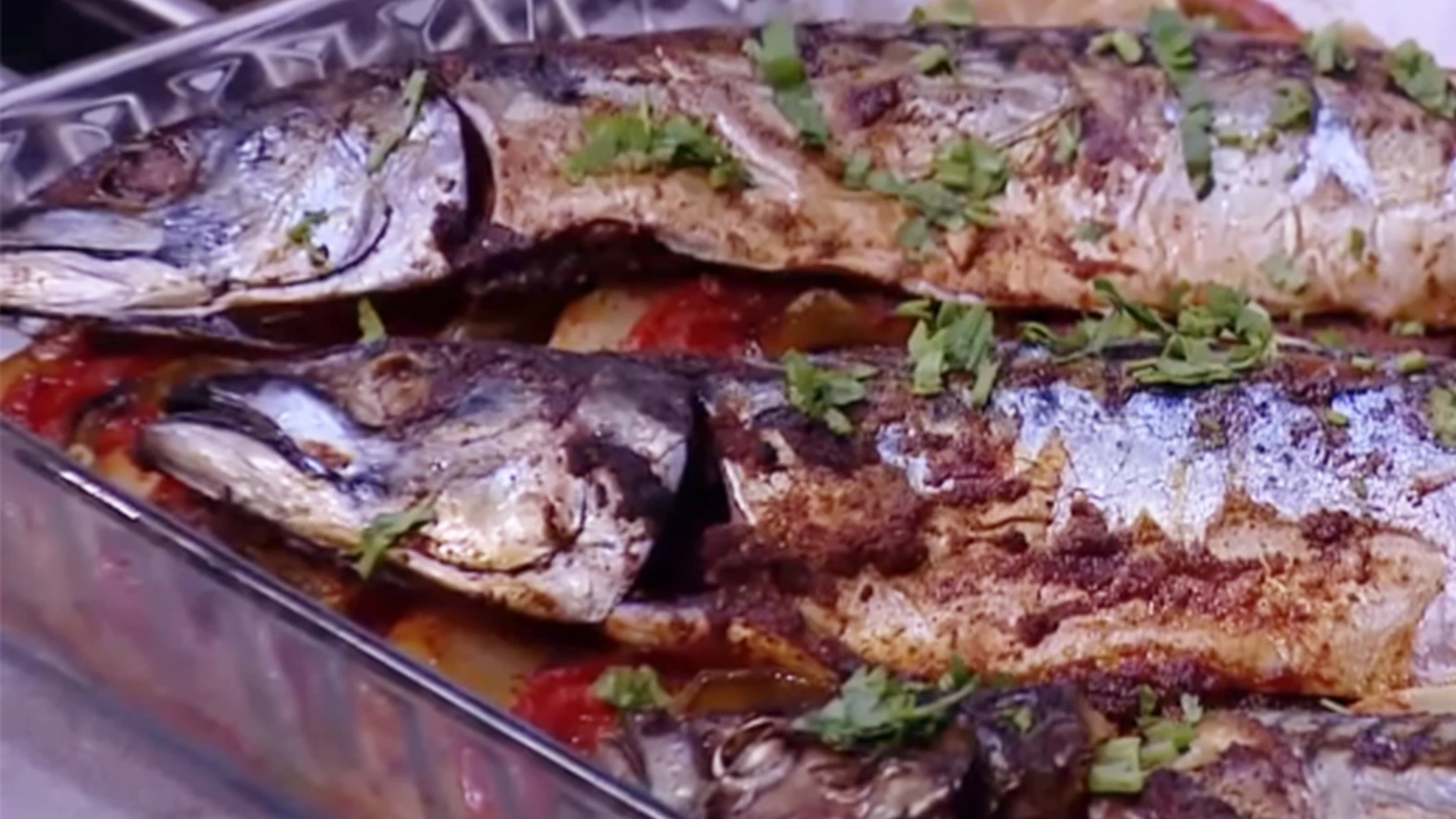 سمك ماكريل